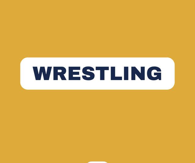 Wrestling Cards Draft Town Sports Cards